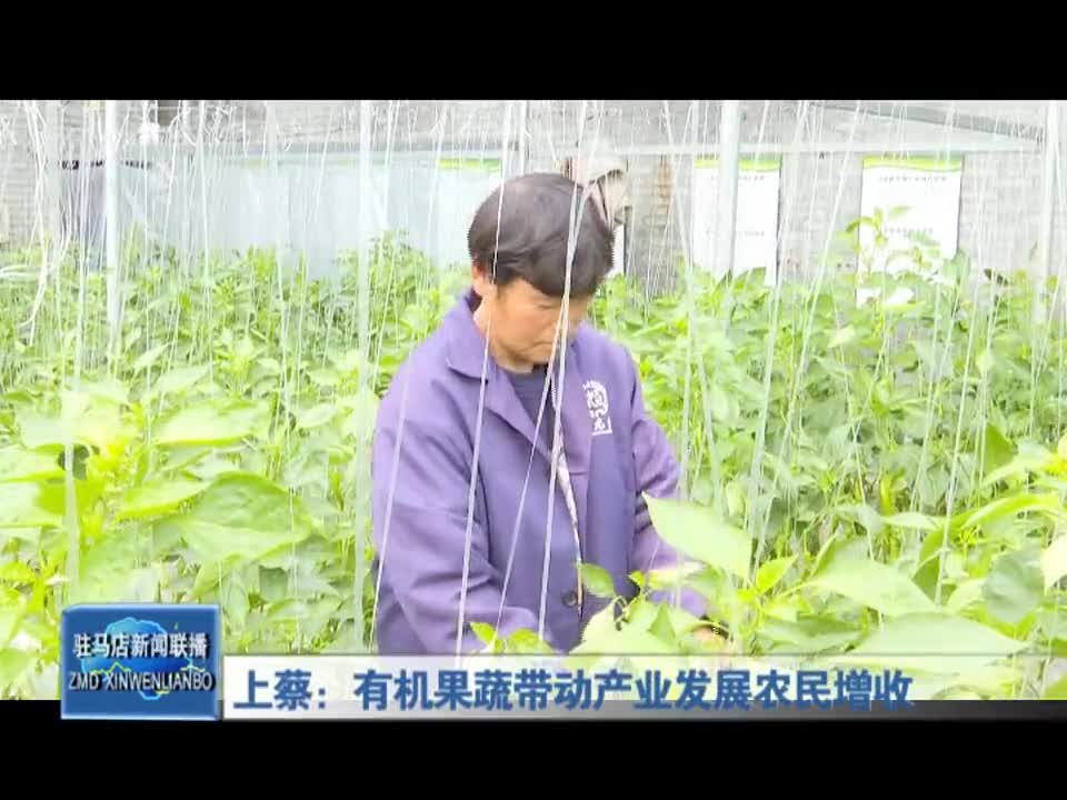 上蔡：有机果蔬带动产业发展农民增收
