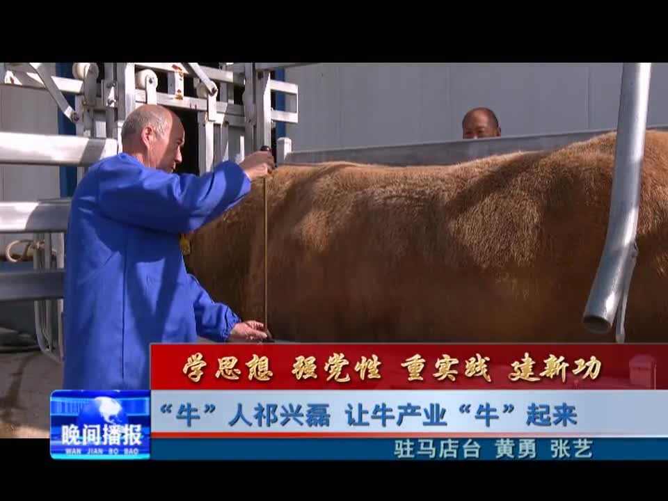 “牛”人祁兴磊 让牛产业“牛”起来