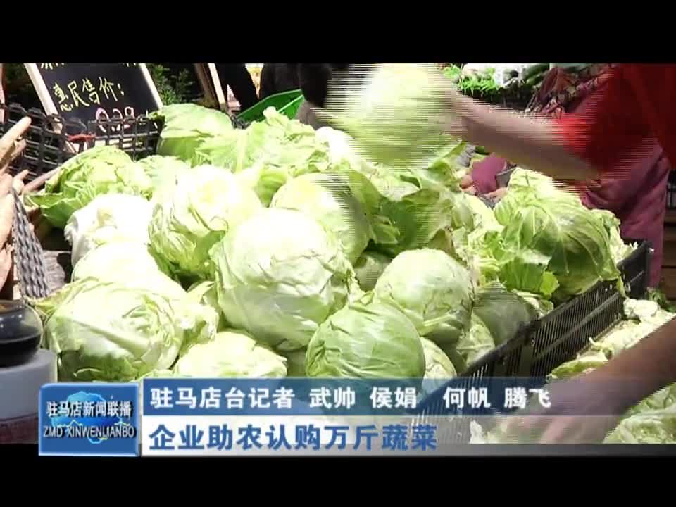 企业助农认购万斤蔬菜