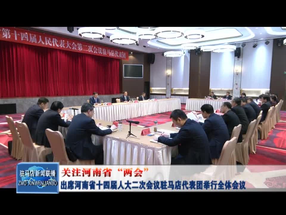 出席河南省十四届人大二次会议驻马店代表团举行全体会议