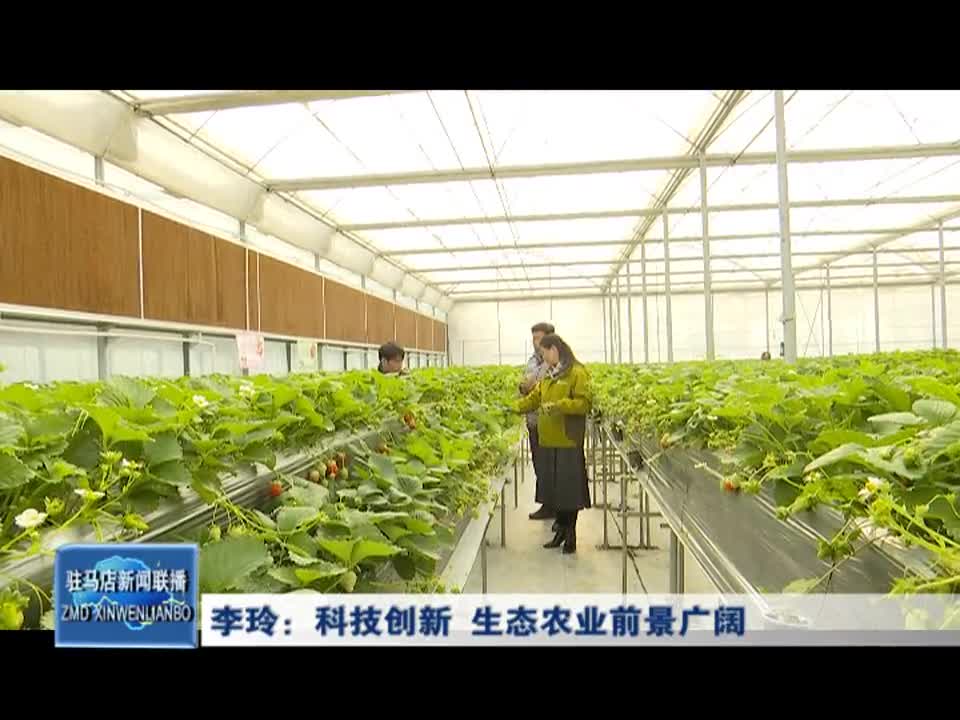 李玲：科技创新 生态农业前景广阔