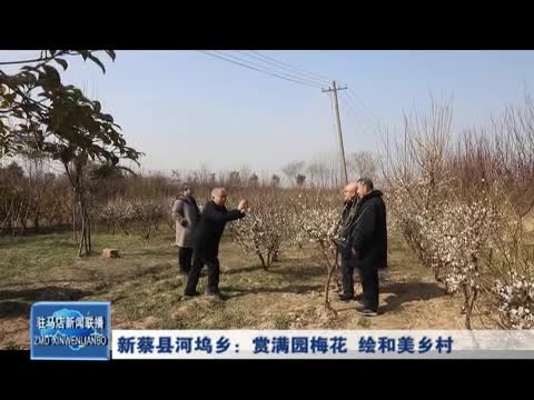新蔡县河坞乡：赏满园梅花 绘和美乡村