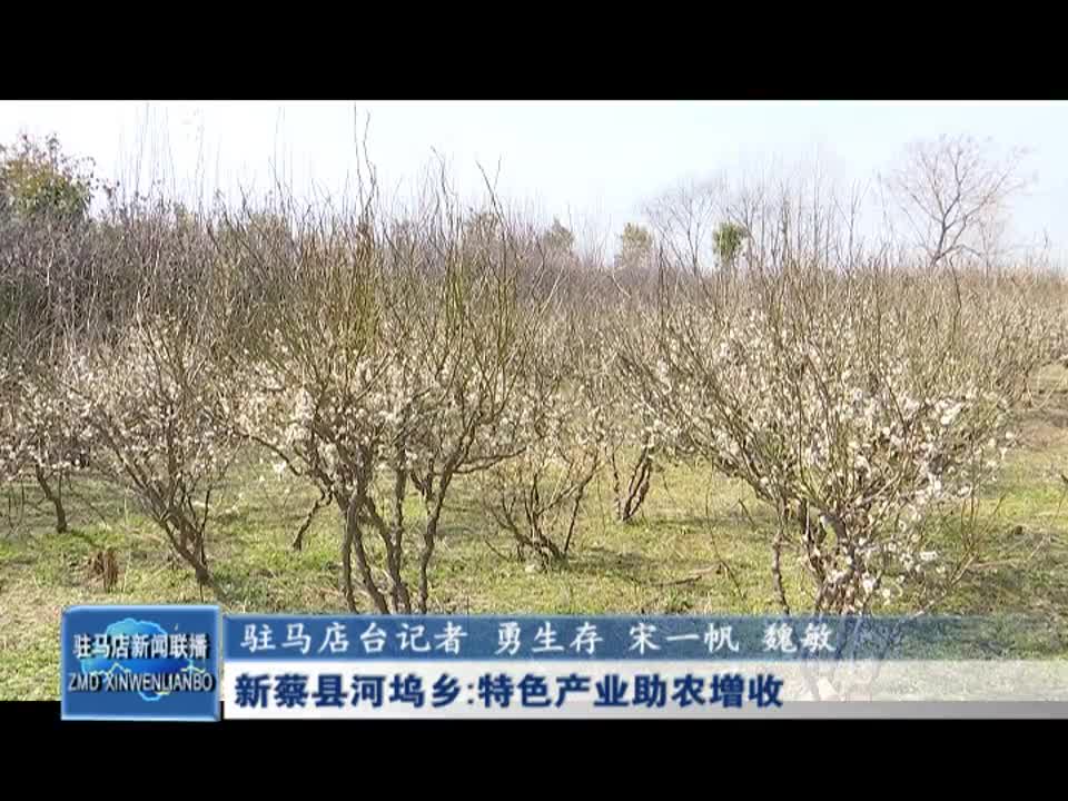 新蔡县河坞乡：特色产业助农增收