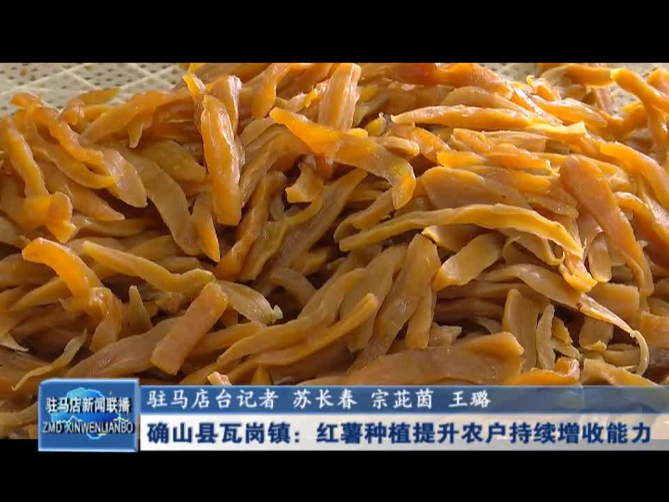 确山县瓦岗镇：红薯种植提升农户持续增收能力