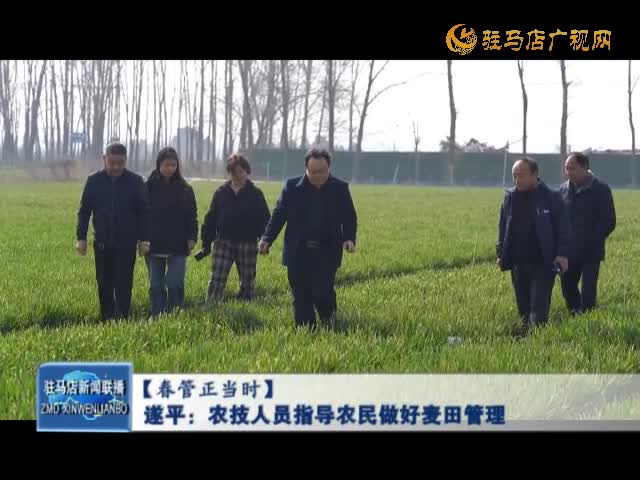【春管正当时】遂平：农技人员指导农民做好麦田管理