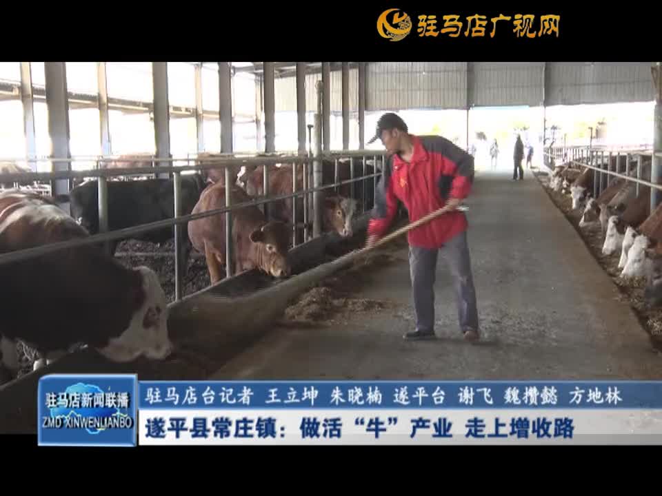 遂平县常庄镇：做活“牛”产业 走上增收路