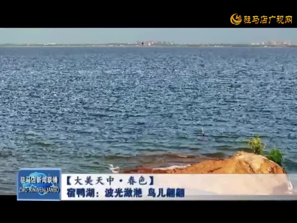 宿鸭湖：波光潋滟 鸟儿翩翩