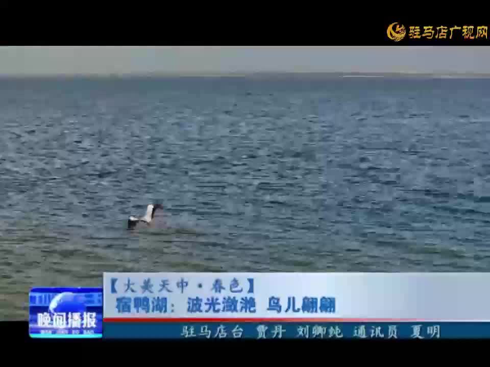 宿鸭湖:波光潋滟 鸟儿翩翩