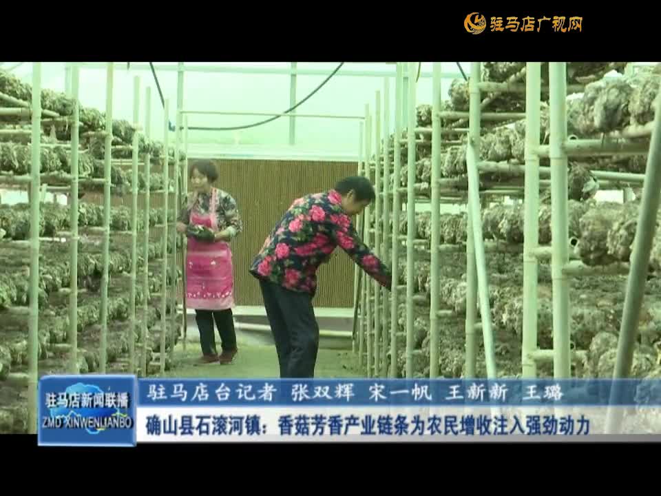 确山县石滚河镇：香菇芳香产业链条为农民增收注入强劲动力