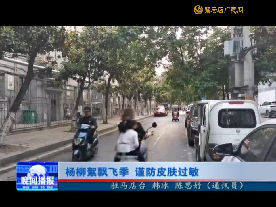 杨柳絮飘飞季 谨防皮肤过敏