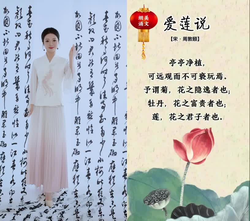 散文朗诵《爱莲说》