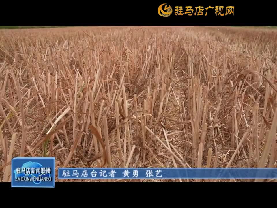 正阳：小麦种收有订单 “优”粮生产全程无忧