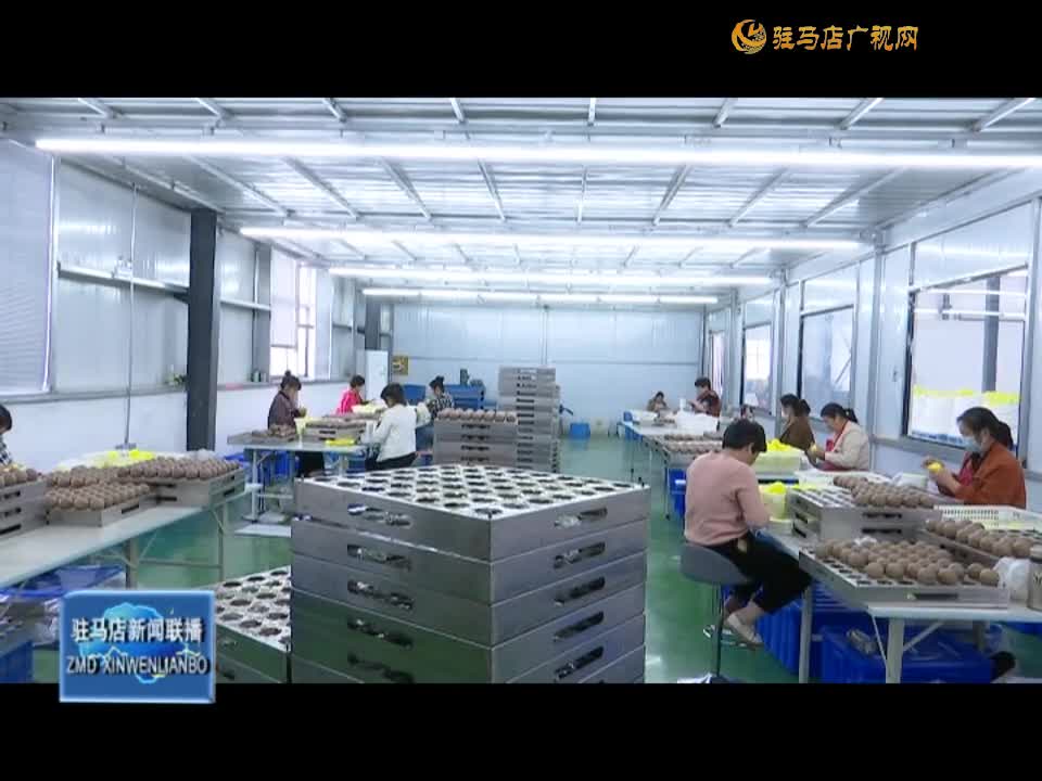 【新時代 新征程 新偉業(yè)】泌陽縣雙廟街鄉(xiāng)：加快推進(jìn)鄉(xiāng)村振興產(chǎn)業(yè)園建設(shè) 助力鎮(zhèn)域經(jīng)濟(jì)高質(zhì)量發(fā)展