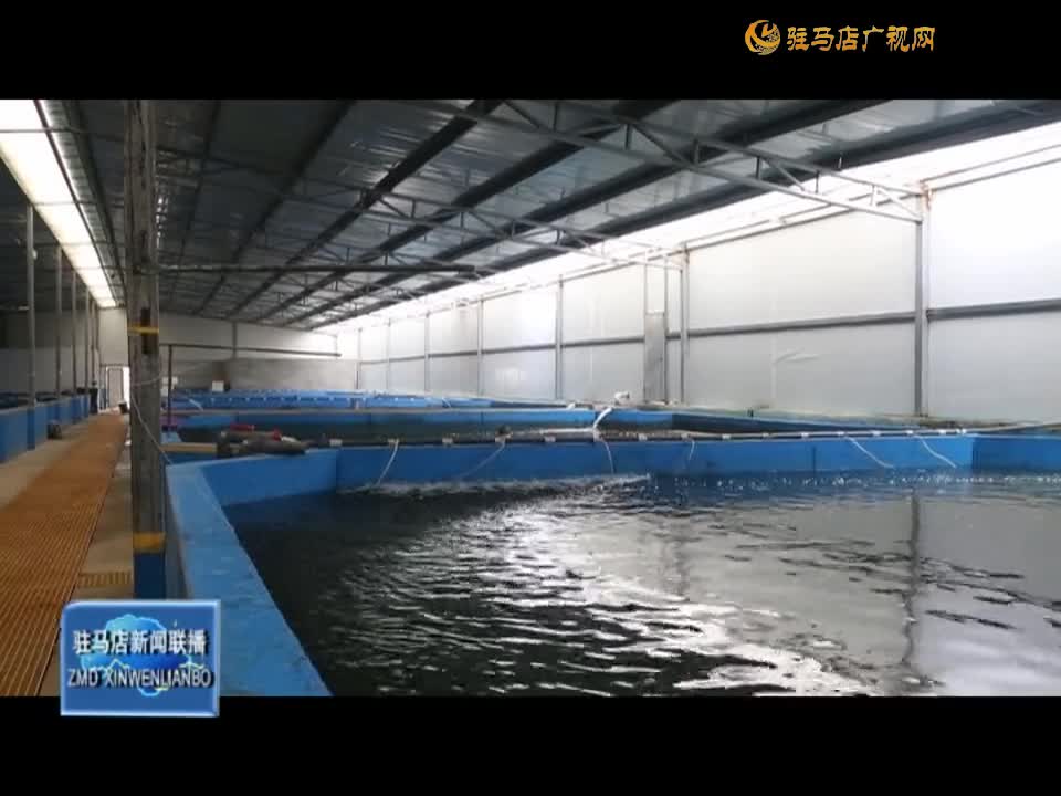 西平县出山镇：水产养殖描绘乡村振兴新图景
