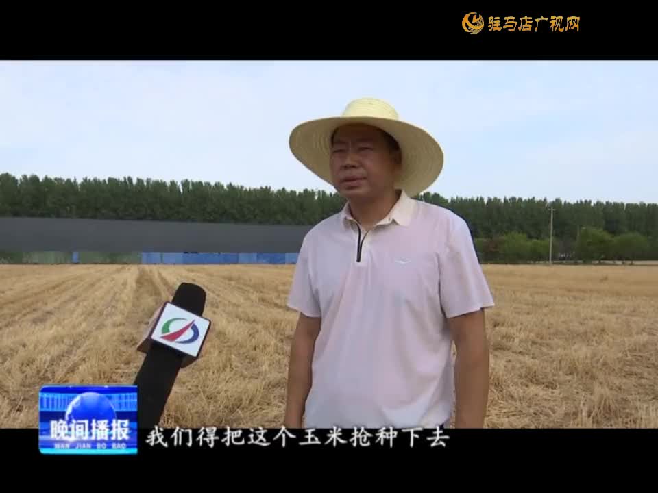 【三夏时节】驿城区华夏种植合作社：抢种秋粮及时灌溉