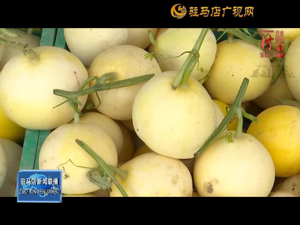 【一村一品】驿城区沙河店镇赵尧村：甜瓜土豆种植助农增收