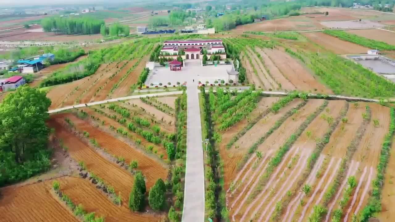 泌阳：累累硕果映繁荣