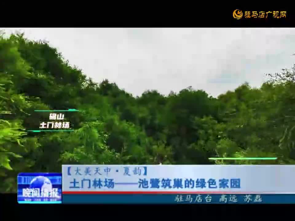 土门林场--池鹭筑巢的绿色家园