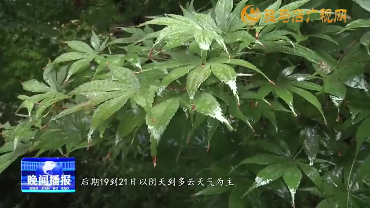 今日入伏  天降暴雨