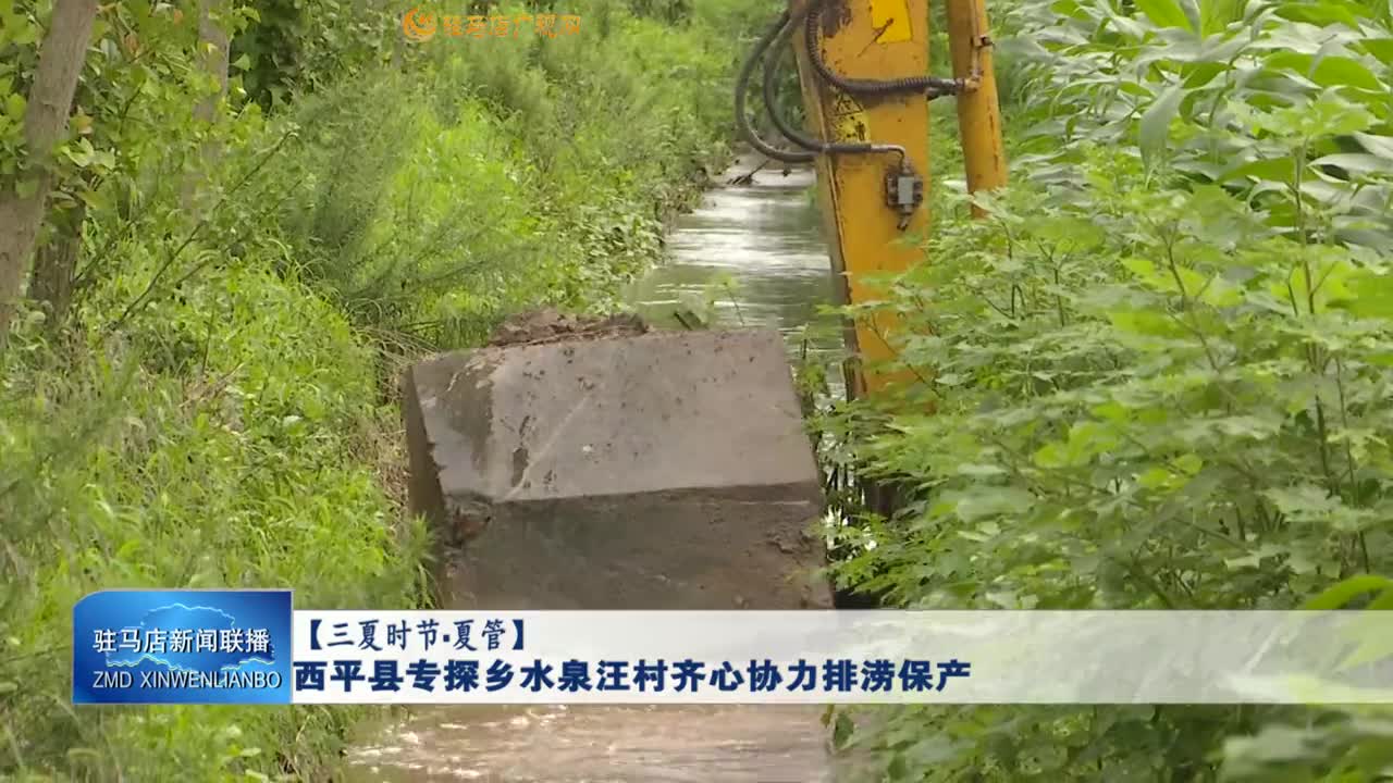 【三夏时节▪夏管】西平县专探乡水泉汪村齐心协力排涝保产