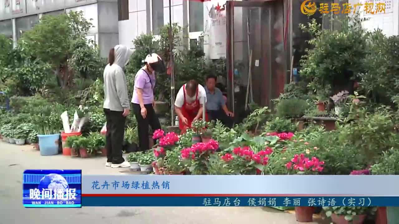 花卉市場綠植熱銷