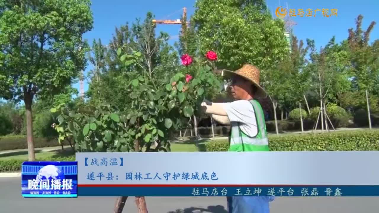 【戰(zhàn)高溫】遂平縣：園林工人守護(hù)綠城底色