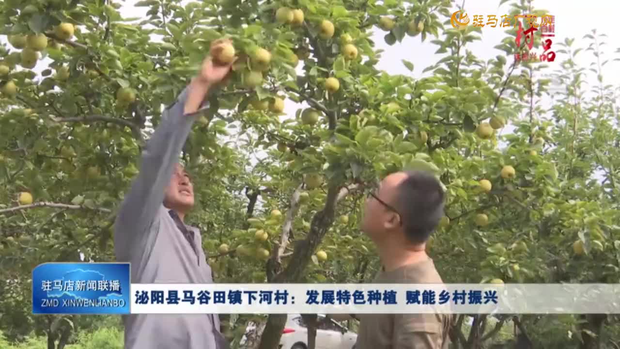 【一村一品】泌陽縣馬谷田鎮(zhèn)下河村：發(fā)展特色種植 賦能鄉(xiāng)村振興