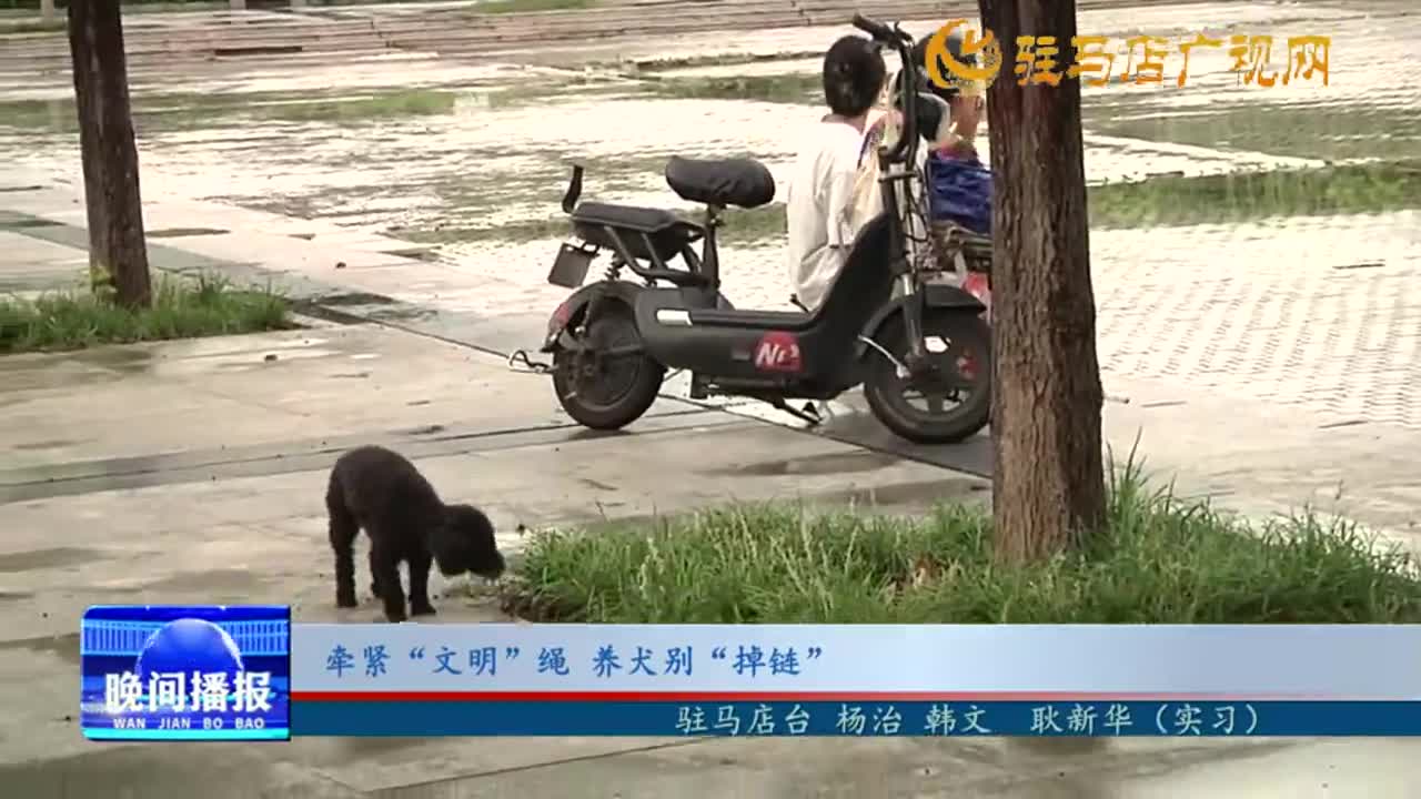 牽緊“文明”繩 養(yǎng)犬別“掉鏈”