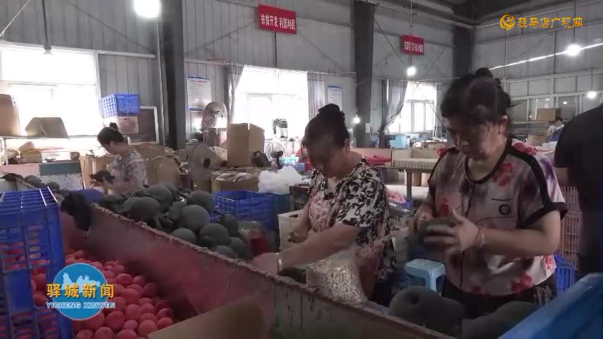 驿城区老河乡老关庄村：乳胶玩具产业助农增收