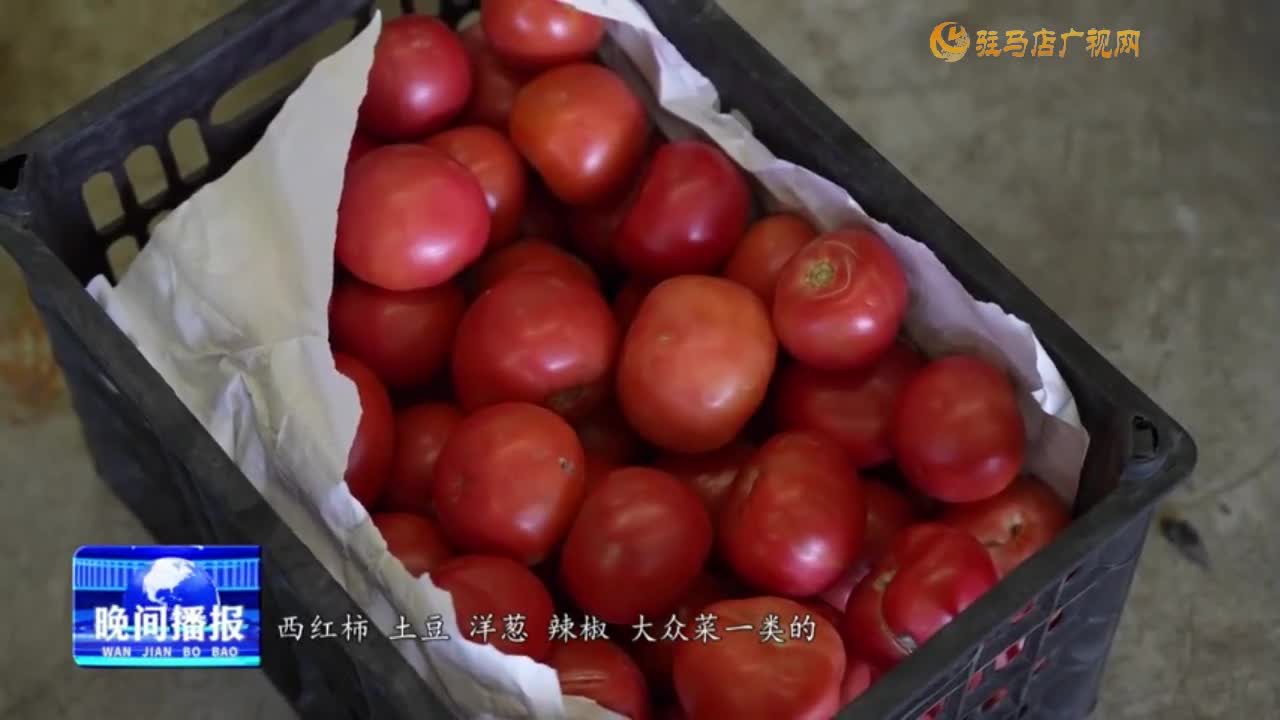 蔬菜价格上涨 销量仍趋稳定