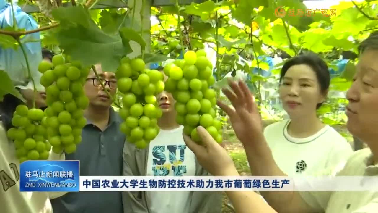 中國農業(yè)大學生物防控技術助力我市葡萄綠色生產