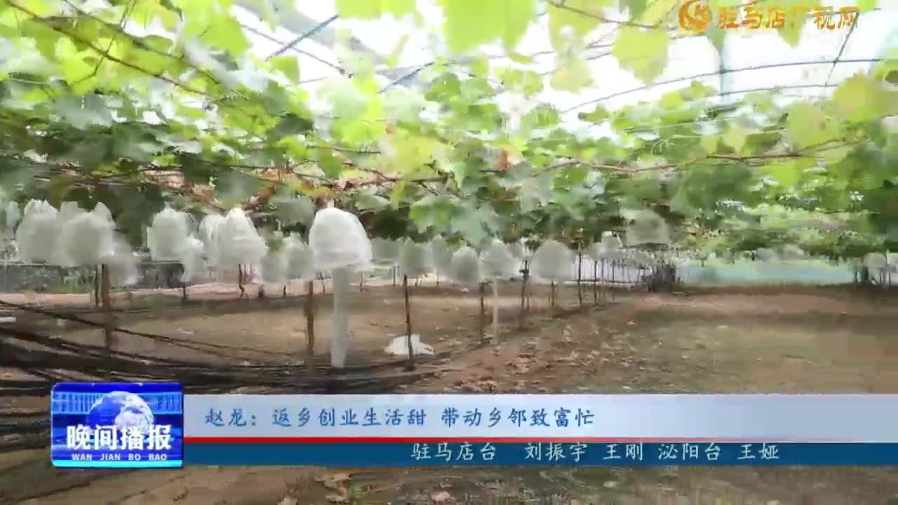 赵龙:返乡创业生活甜 带动乡邻致富忙