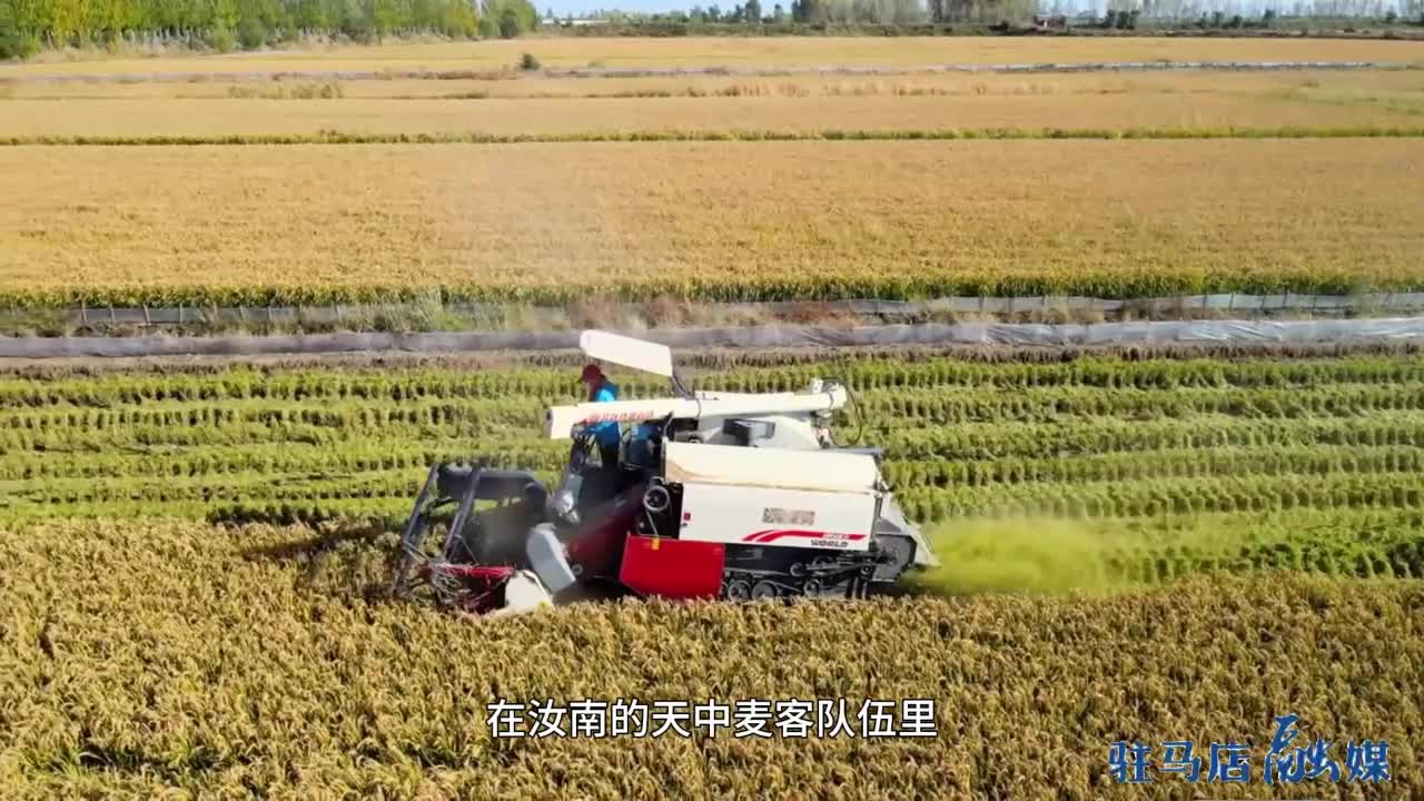 汝南縣老君廟鎮(zhèn)小方村：建強堡壘促振興