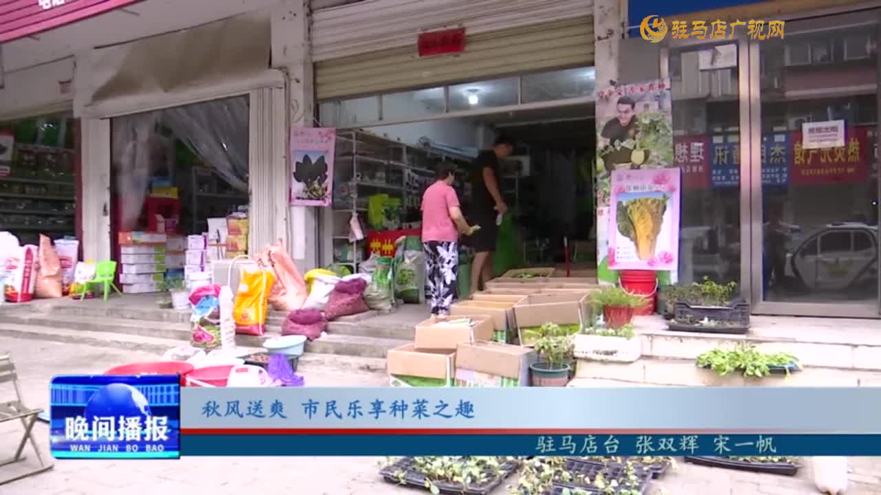 秋風送爽 市民樂享種菜之趣