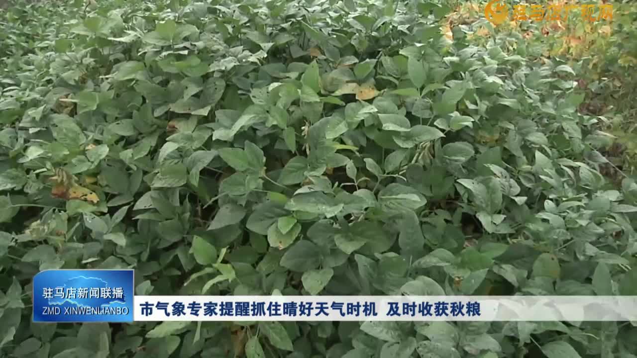 市氣象專家提醒抓住晴好天氣時機(jī)  及時收獲秋糧