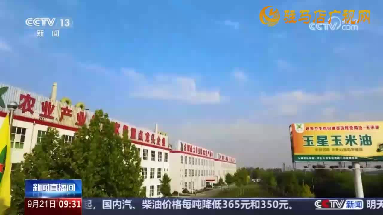 玉米上市卖粮忙  24小时收购不打烊