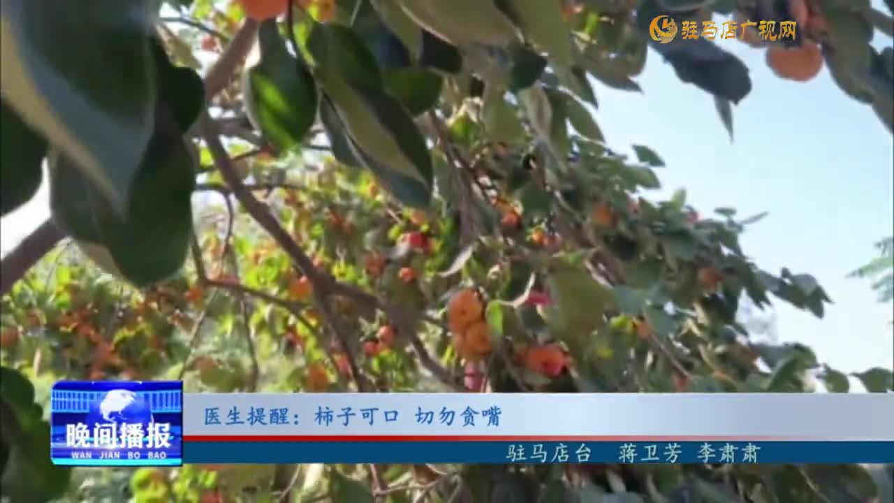 医生提醒：柿子可口 切勿贪嘴