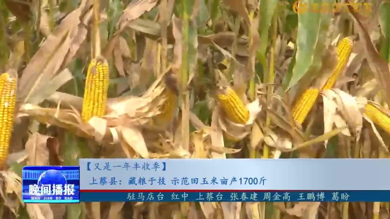 【又是一年豐收季】上蔡縣：藏糧于技 示范田玉米畝產1700斤