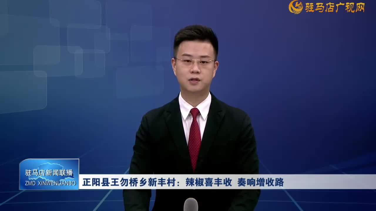 【一村一品】正阳县王勿桥乡新丰村：辣椒喜丰收 奏响增收路