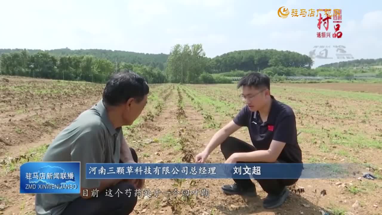 【一村一品】确山县竹沟镇王岗村：中药材种植拓宽村民增收渠道