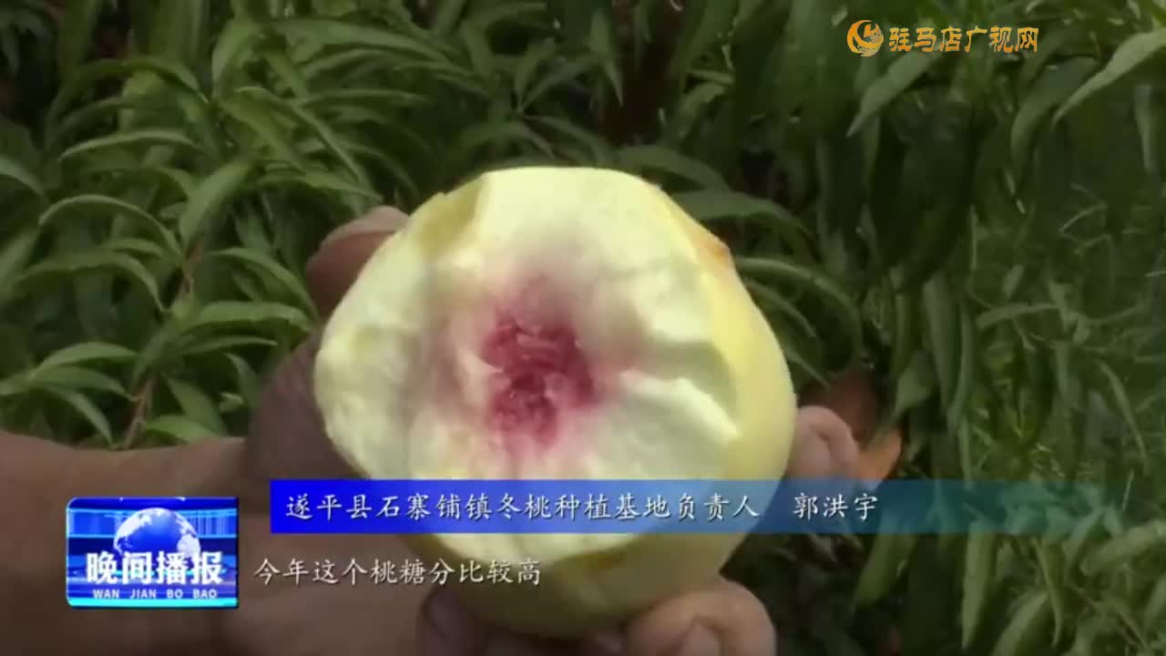 冬桃成就甜蜜事业