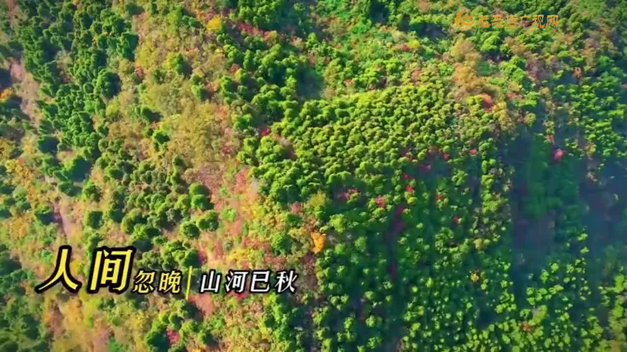 九九重阳 岁岁安康