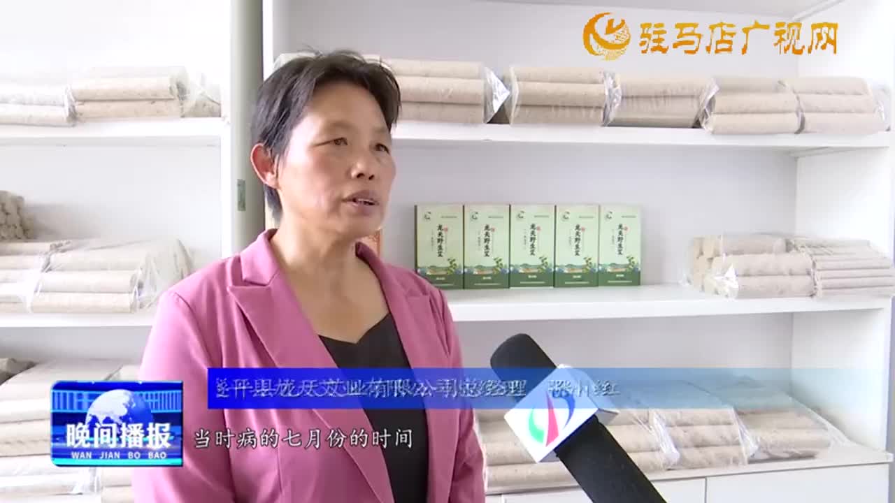 【出彩新农人】张小红：小艾草做成大产业