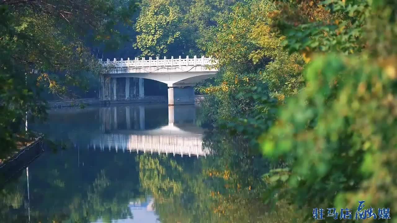 【大美天中】驻马店：公园秋色浓 风景美如画