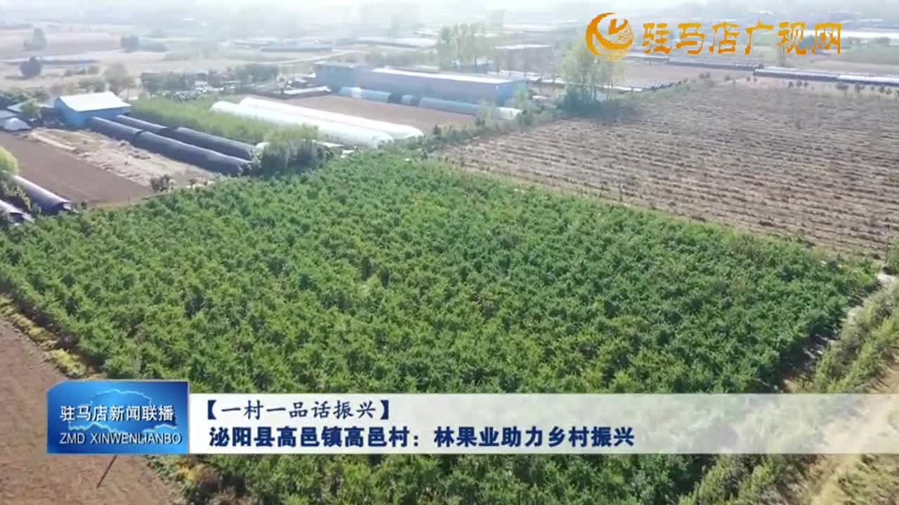 【一村一品话振兴】泌阳县高邑镇高邑村：林果业助力乡村振兴