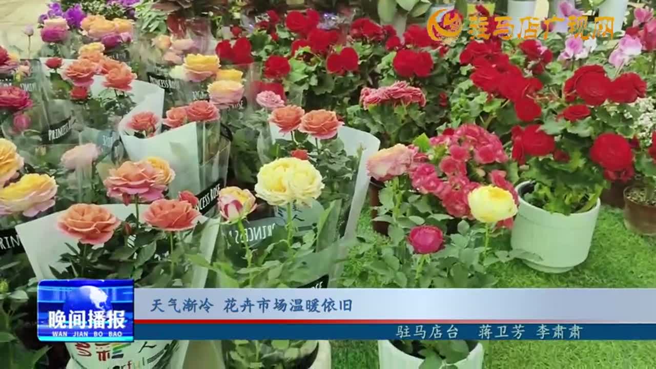 天氣漸冷 花卉市場溫暖依舊