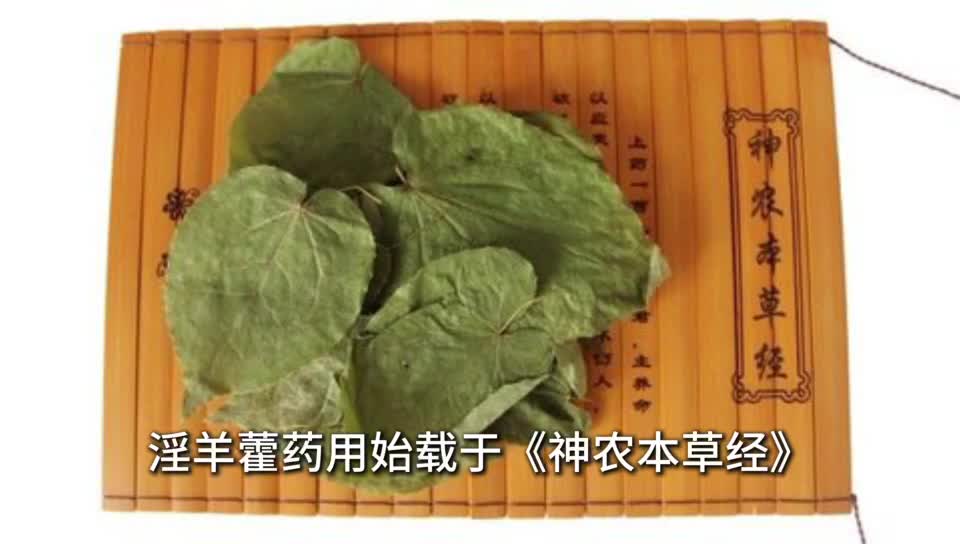 天中的道地药材——淫羊藿
