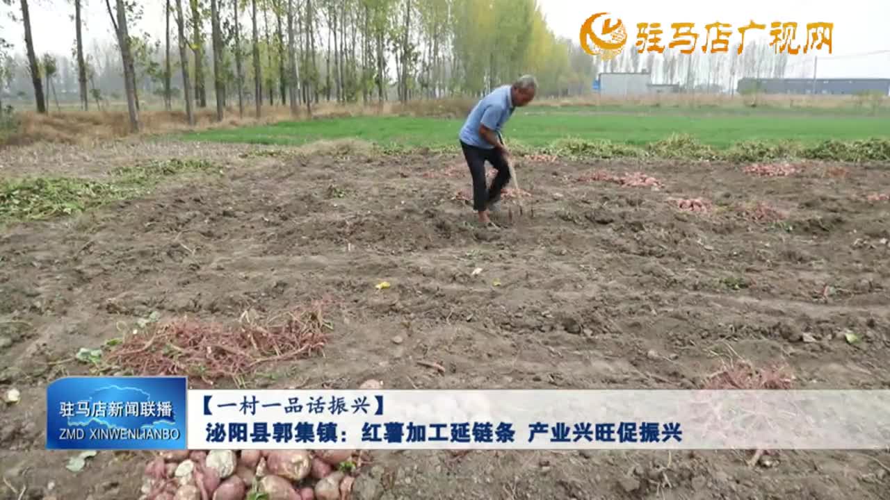 【一村一品話振興】泌陽縣郭集鎮(zhèn)：紅薯加工延鏈條 產(chǎn)業(yè)興旺促振興