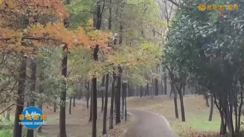 置地公園初冬美景正當時