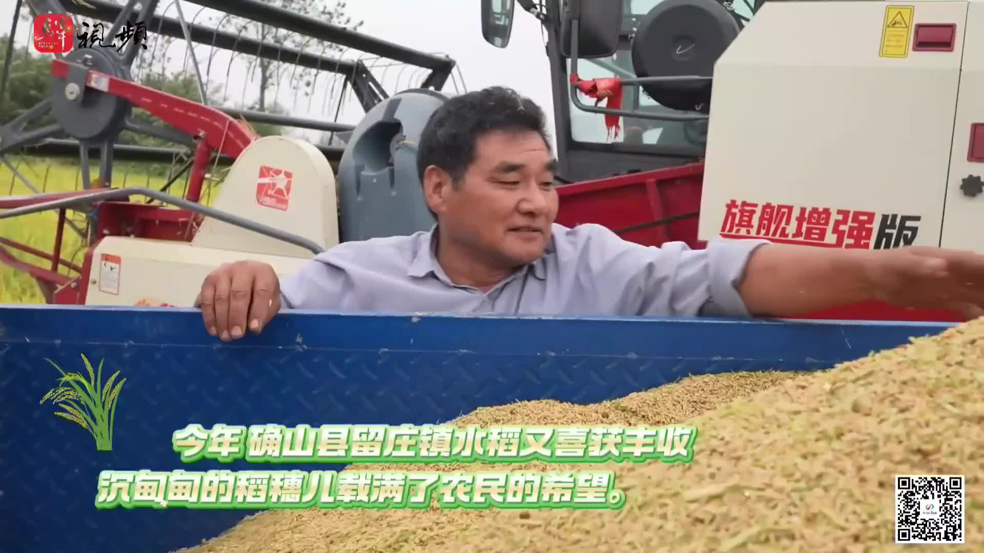 确山县：一粒米“链”起大产业......|《今日驻马店第55期》资讯第55期